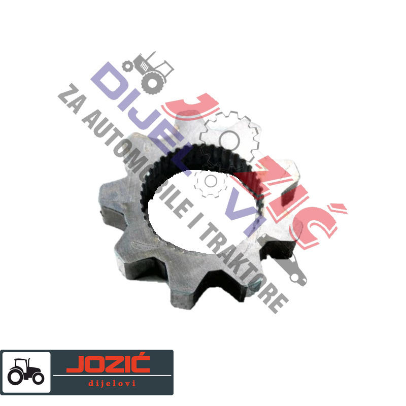 Daisy on the Ohoopee